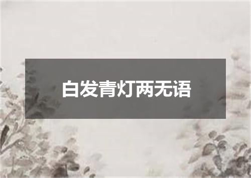 白发青灯两无语