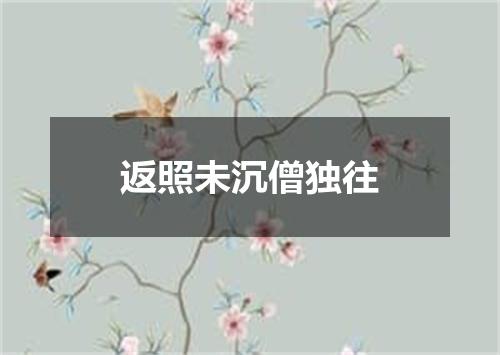 返照未沉僧独往
