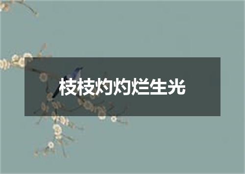 枝枝灼灼烂生光