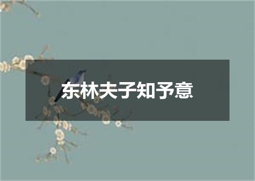 东林夫子知予意