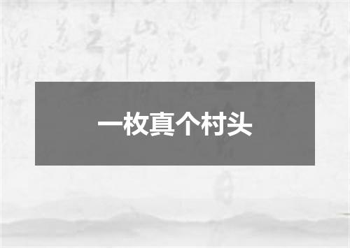 一枚真个村头