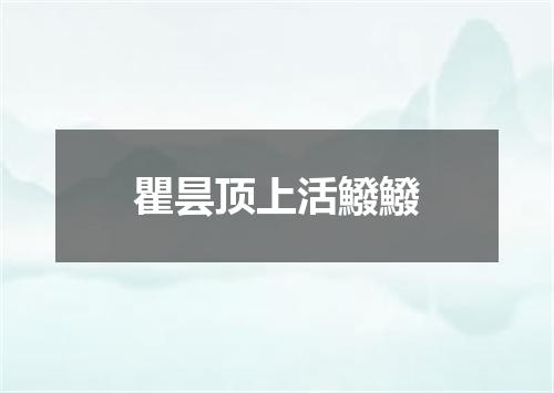 瞿昙顶上活鱍鱍