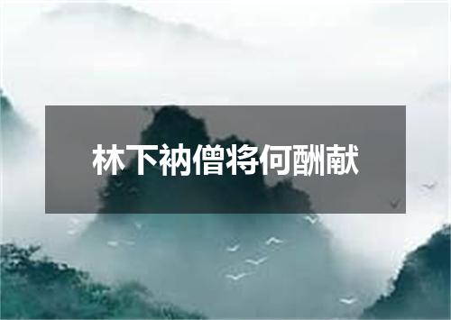 林下衲僧将何酬献