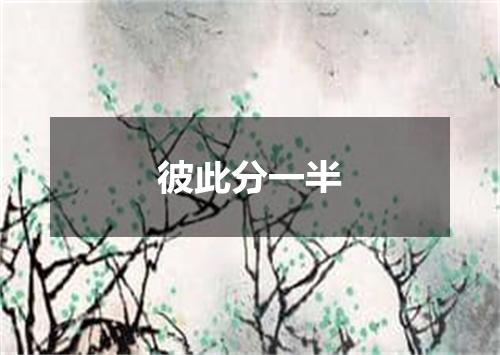 彼此分一半