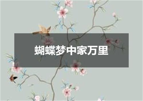 蝴蝶梦中家万里