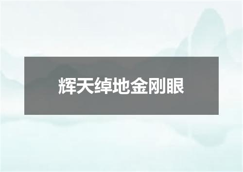 辉天绰地金刚眼