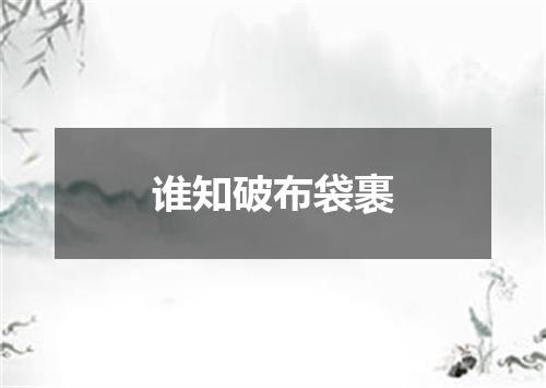 谁知破布袋裹