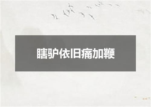 瞎驴依旧痛加鞭