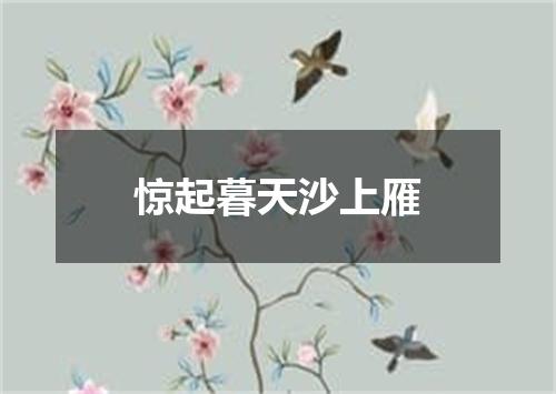 惊起暮天沙上雁