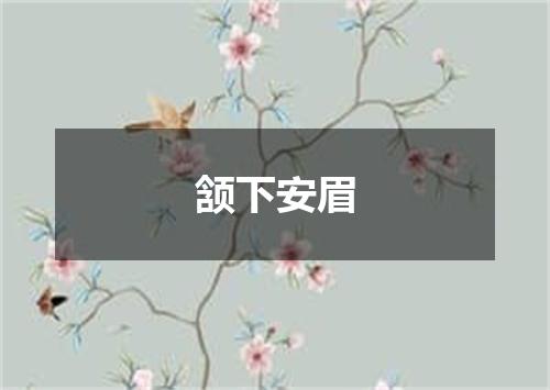 颔下安眉