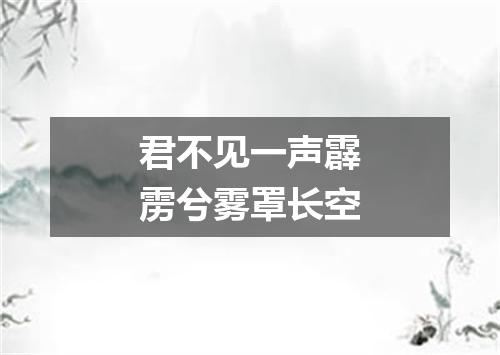 君不见一声霹雳兮雾罩长空