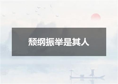 颓纲振举是其人