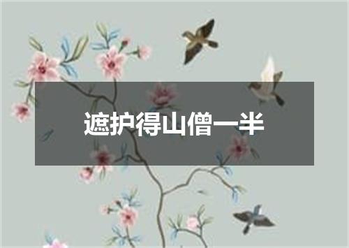 遮护得山僧一半