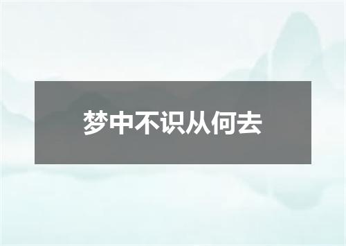 梦中不识从何去