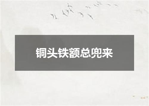 铜头铁额总兜来