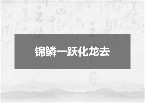 锦鳞一跃化龙去