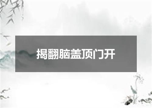 揭翻脑盖顶门开