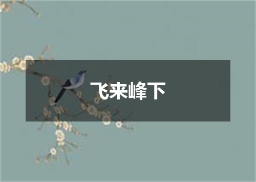 飞来峰下