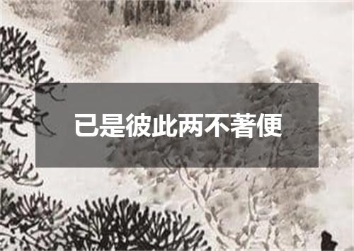 已是彼此两不著便
