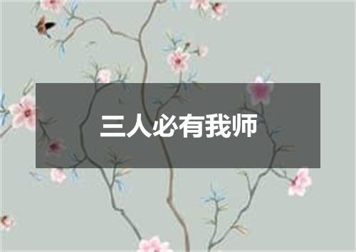三人必有我师