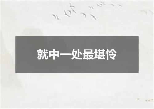 就中一处最堪怜