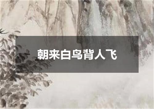 朝来白鸟背人飞