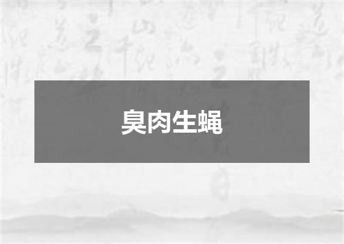 臭肉生蝇