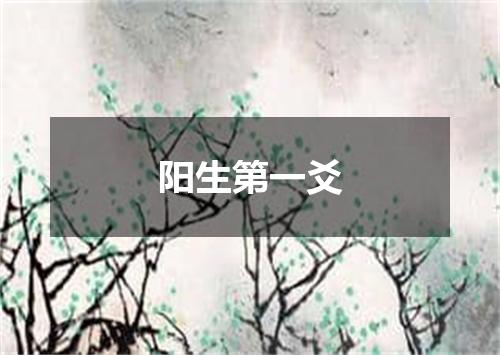 阳生第一爻