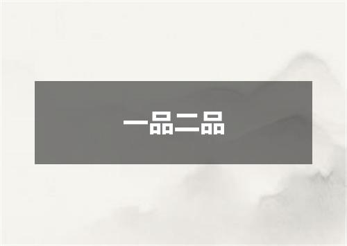 一品二品