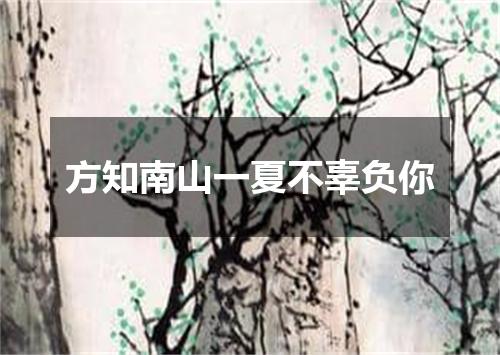 方知南山一夏不辜负你