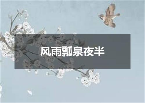 风雨瓢泉夜半