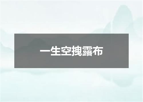 一生空拽露布