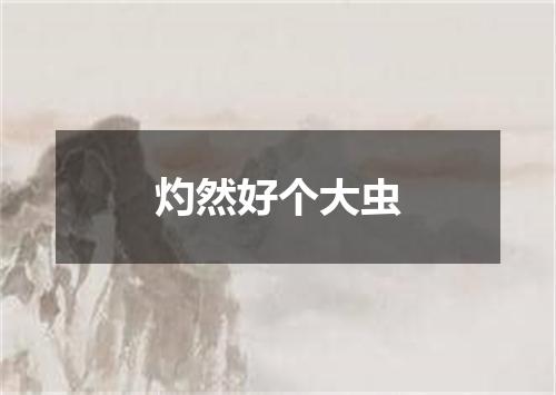 灼然好个大虫