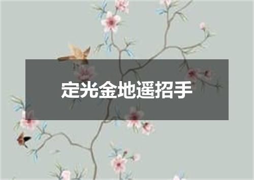 定光金地遥招手