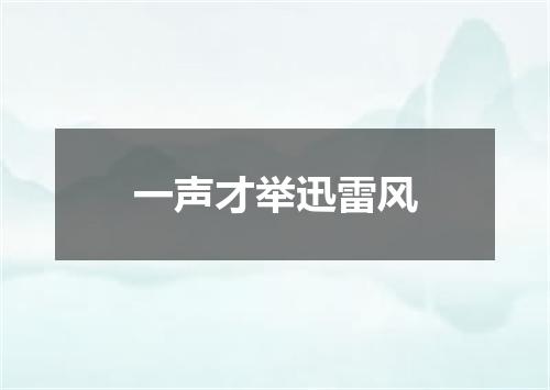 一声才举迅雷风