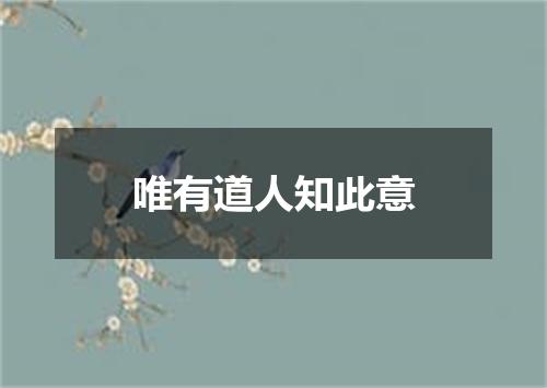 唯有道人知此意