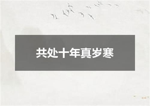 共处十年真岁寒