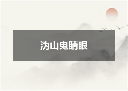 沩山鬼睛眼