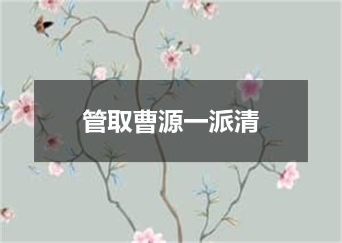 管取曹源一派清