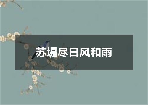 苏堤尽日风和雨