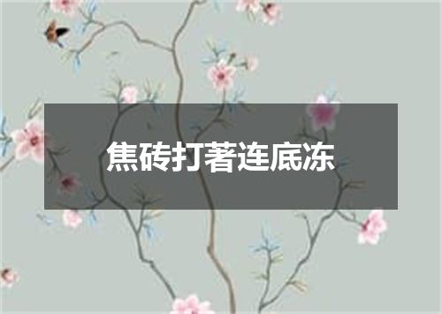 焦砖打著连底冻