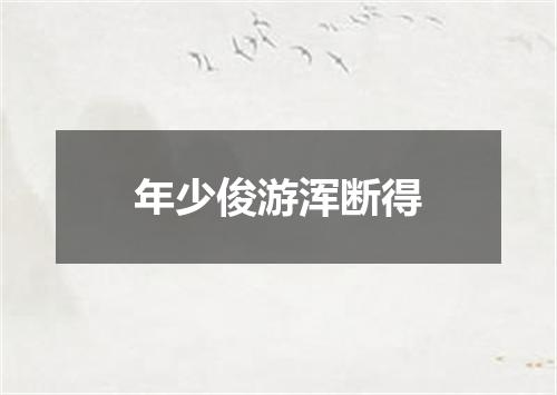 年少俊游浑断得