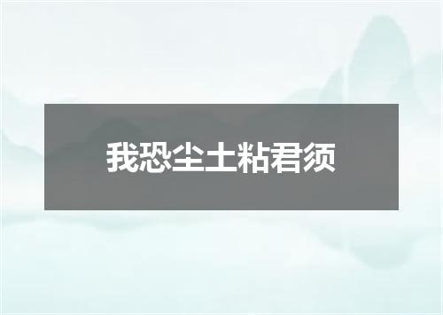 我恐尘土粘君须