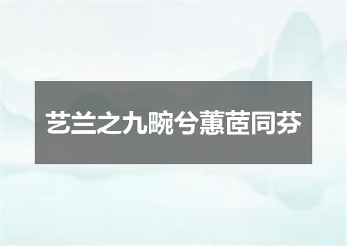 艺兰之九畹兮蕙茝同芬
