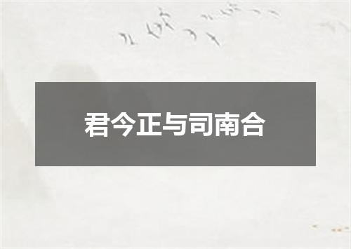 君今正与司南合