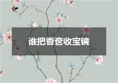 谁把香奁收宝镜