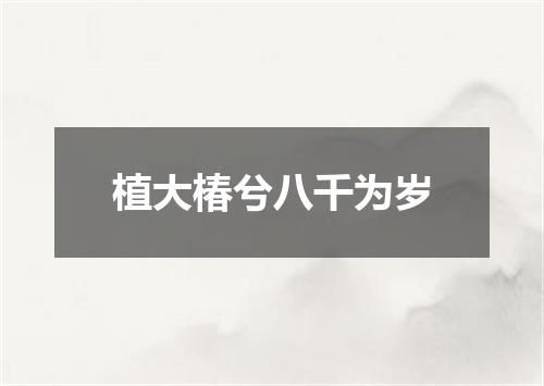 植大椿兮八千为岁