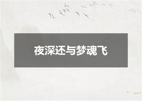 夜深还与梦魂飞