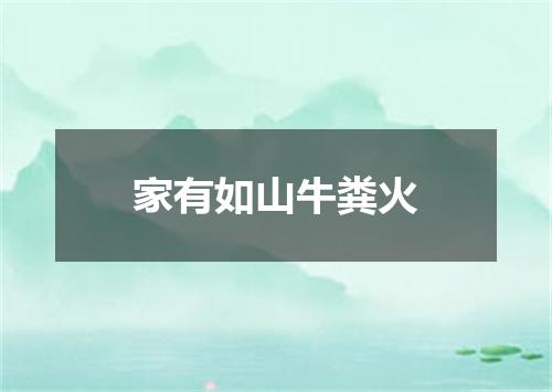 家有如山牛粪火