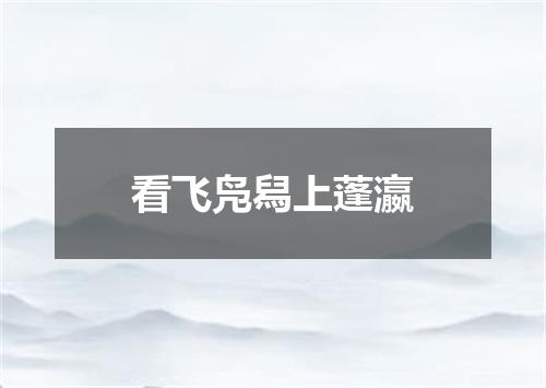 看飞凫舄上蓬瀛